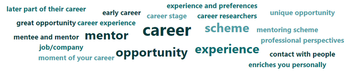 Word cloud describing participant's experience. Relevant words: career, opportunity, experience, scheme, mentor, contact with people, enriches you personally