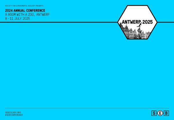 SEB_ANNUAL_CONF_ANTWERP-powerpoint.jpg