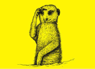 weasel yellow.jpg